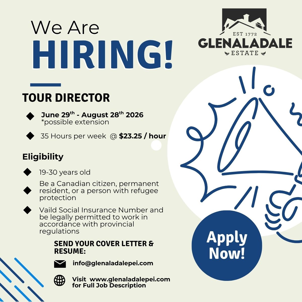 Blue and White Lined Graphic Job Hiring LinkedIn Post